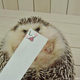 Illustration for article titled Hedgehog Impersonates Pikachu (and More)